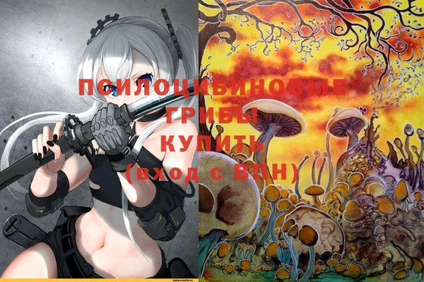 PSILOCYBIN Балахна