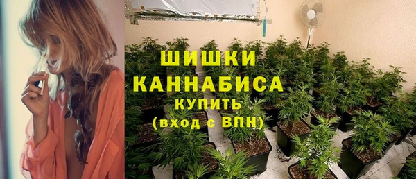 PSILOCYBIN Балахна